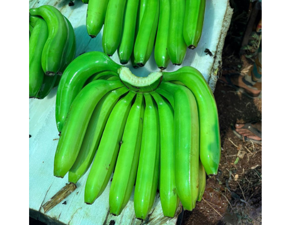 banana
