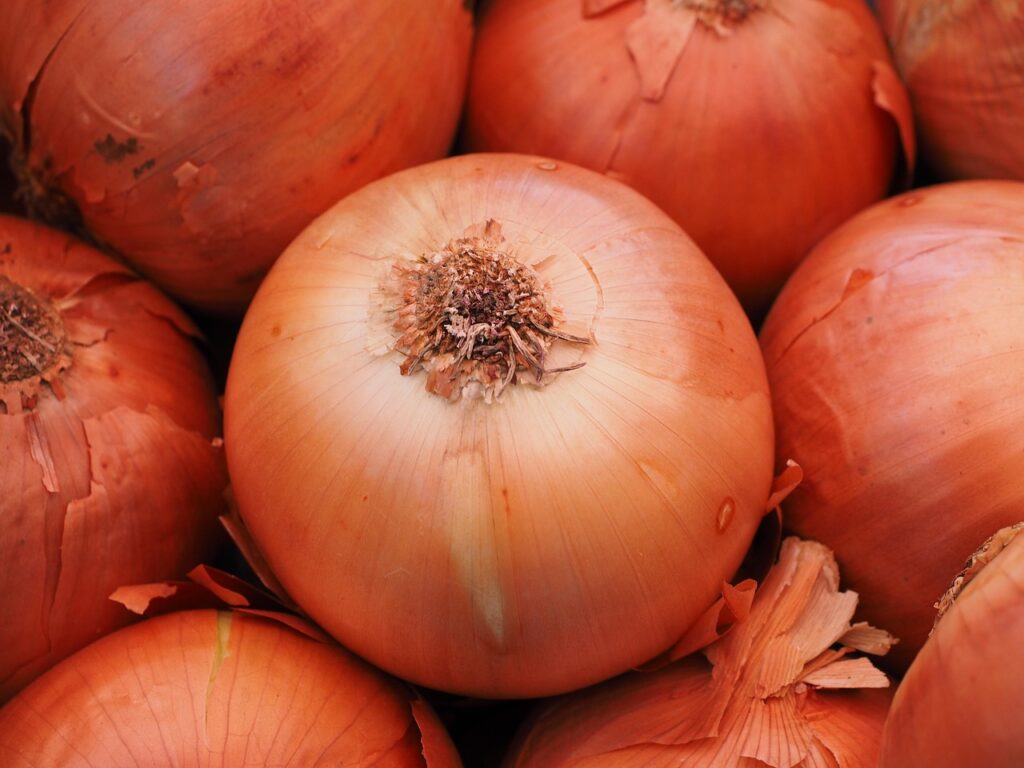 vegetable onion, onion, food, shell, market, vegetables, brown, market fresh vegetables, onion, onion, onion, onion, onion